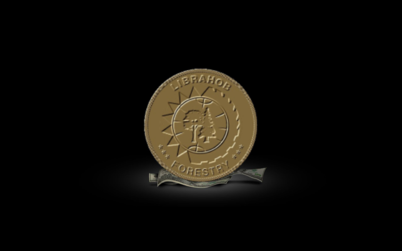 электронная инвесткарта 9822 014831 356UZ